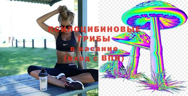 мдпв Кинешма