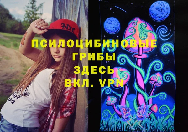 мдпв Кинешма