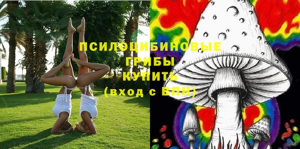 мдпв Киренск